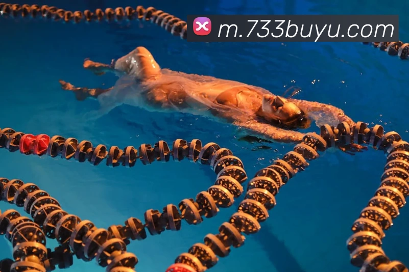 捕鱼达人在线玩网页版平台生态图